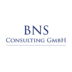 appel-art / Logo BNS Consulting GmbH
