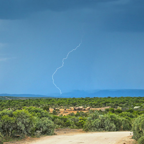 look-of-life / Fotografie Natur